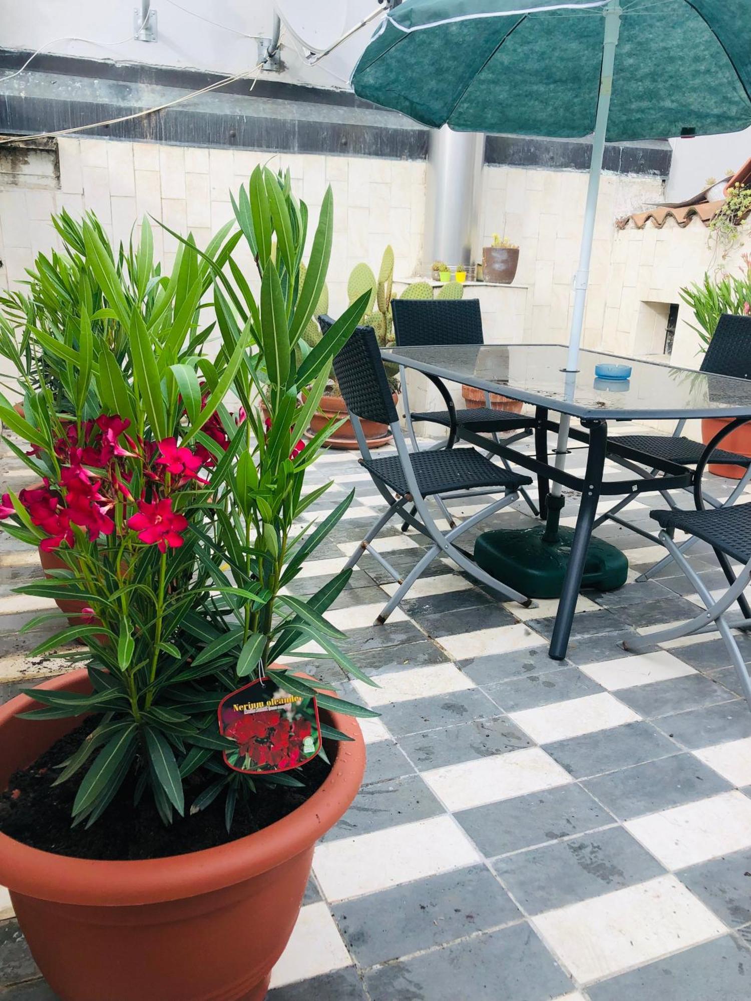 La Terrazza Di Aida Verona Exterior foto